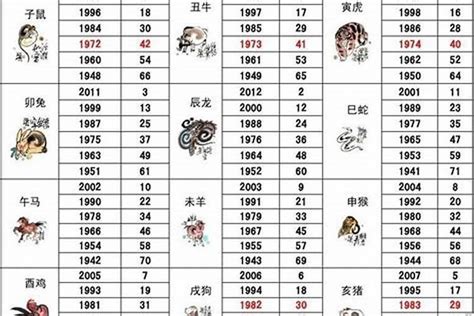 2000 年属什么|2000年属什么生肖 2000年属什么生肖几岁